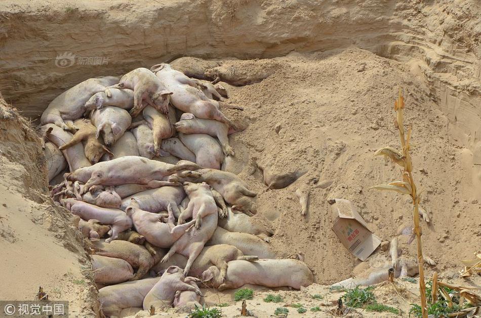 香港大埔洪福苑独立消防委员会视察屋邨工地。截图1