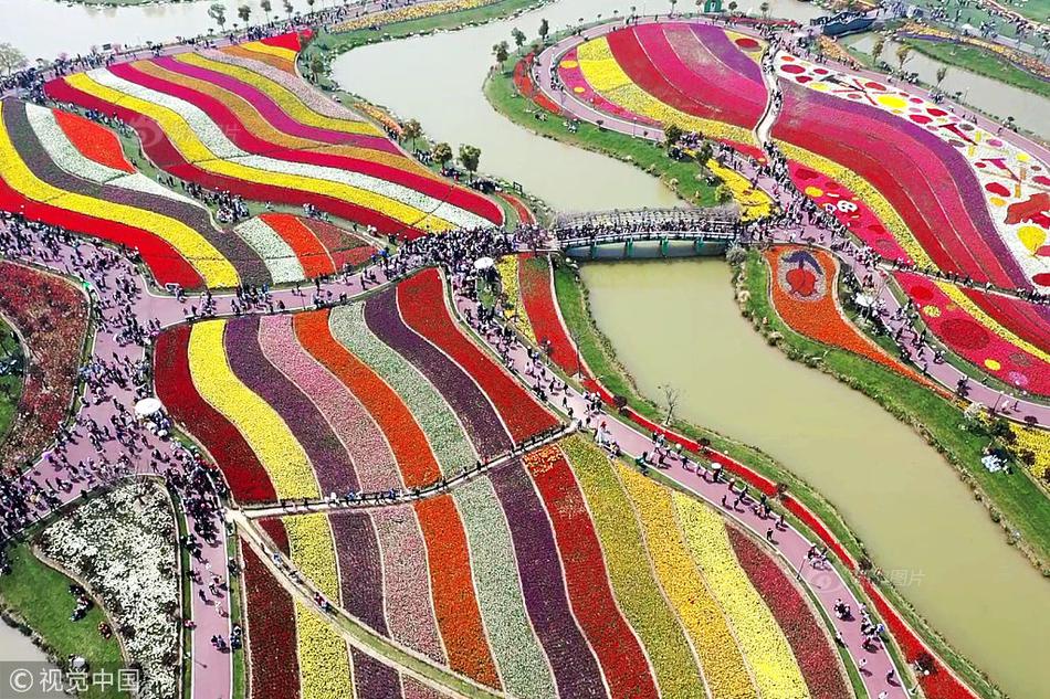 澳门举办了第二十届佛诞节系列活动。截图3