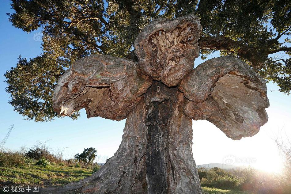 无锡和重庆：美丽的乡村吸引游客截图3