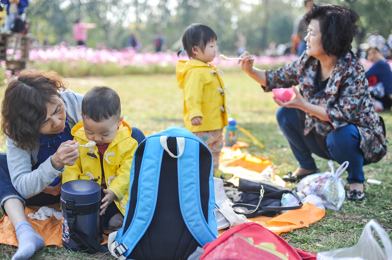 女神的超级狂医