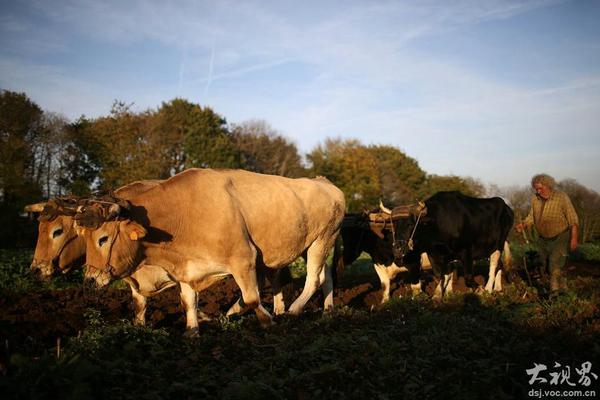 建筑工程多层分包导致了工资拖欠。农民工应该向谁追讨工资？截图3