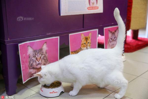 在组织有序的情况下，带着紧迫感进入最后的冲刺阶段——香港特别行政区政府全国运动会统筹办公室主任杨德强访谈。截图2