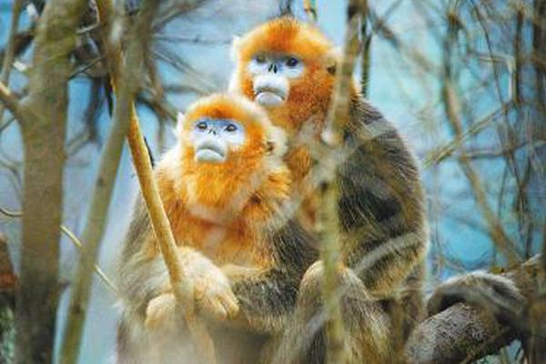 从“劏房”到香港体育馆的舞台，李家超赞扬了鼓舞人心的学生。截图0