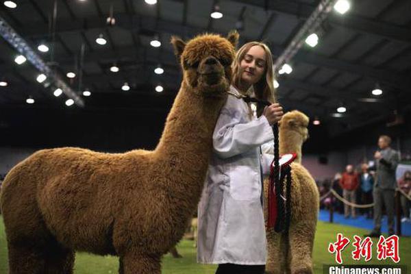 2025年澳门国际马拉松将于12月7日举行。截图2