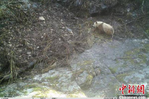 我国航空遥感领域发布了多项数据成果。截图0