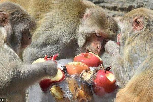 香港迪士尼乐园捐赠500万港元，用于支持患病儿童和青少年的发展。截图4