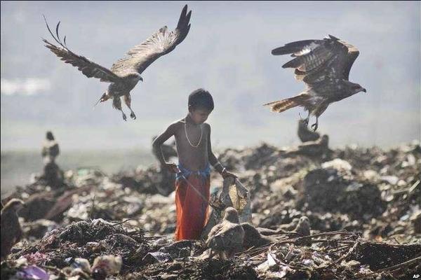 业内专家认为，标准化将在许多领域发挥重要作用。截图4