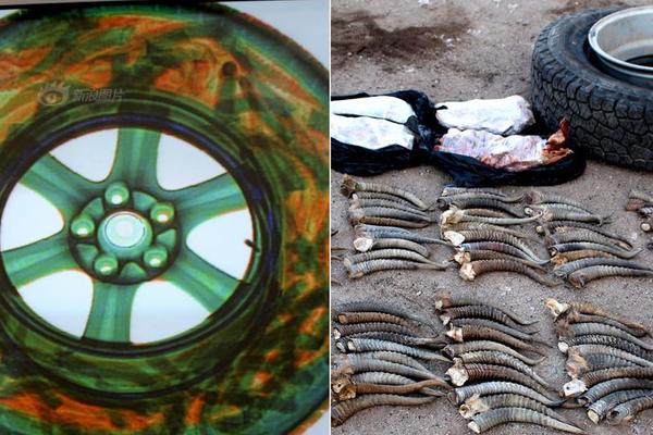 从“劏房”到香港体育馆的舞台，李家超赞扬了鼓舞人心的学生。截图1