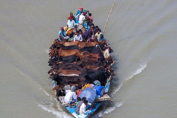 石光集：海南自由贸易港全岛关关——“中国的改革开放是一条永无止境的道路”。截图0