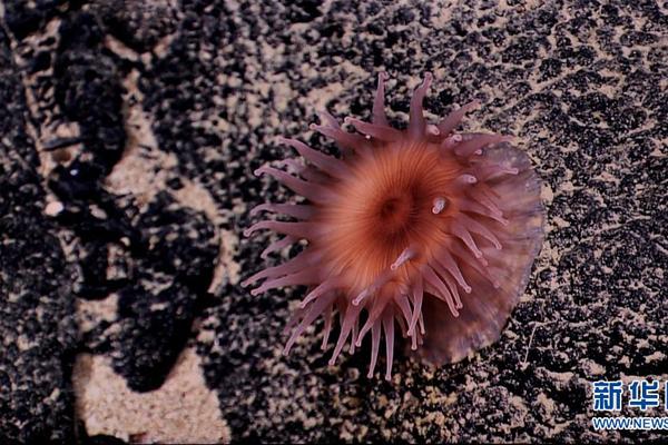 张家口已推出八个主要文化旅游目的地和多条居民优惠路线。截图0