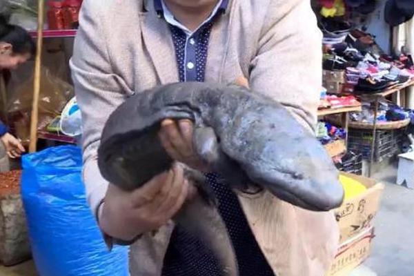 宁夏品牌在澳门“中国葡萄酒大赛”中荣获冠军截图4