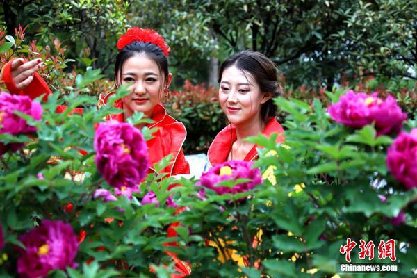 监管故事 _ “富豪龟”背后的隐藏秘诀截图0