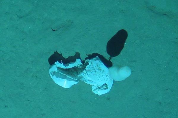 土耳其公布其国产航母的建造进展截图3