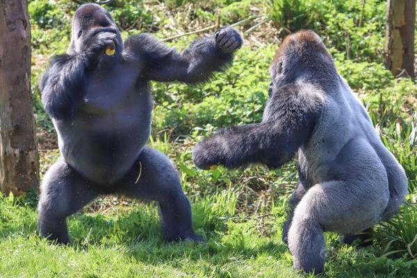 2025年中国法学会行政法研究会年会在湖南省湘潭市举行。截图4