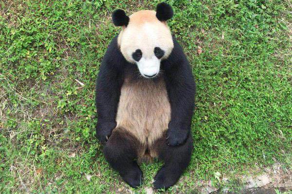 抗日之超级战兵