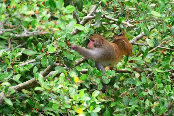 中国文化之旅 _ 博物馆：绝佳的休憩之所截图3