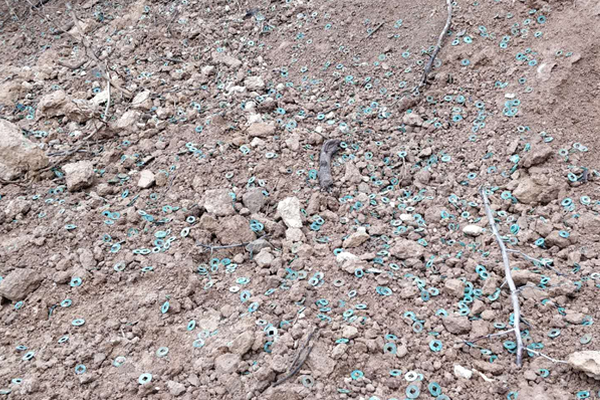 我军新推出的三位一体式军事人才培养体系正在释放新的发展势头。截图2