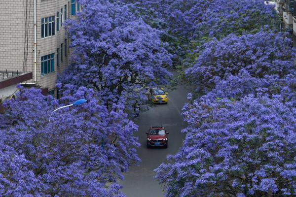 中国强劲的入境和出境旅游增长已成为全球旅游收入增长的核心驱动力。截图2