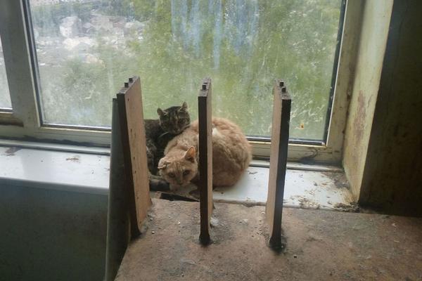 综述：推动国安教育 守护共同家园——香港国家安全教育走深走实截图0