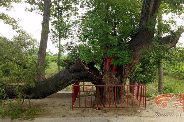 新加坡海军最大军舰下水截图1