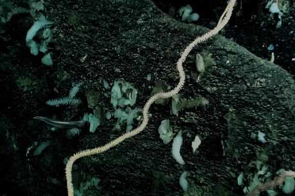 香港城市大学与上海国家投资公司（上海）共同构建创新生态系统截图2