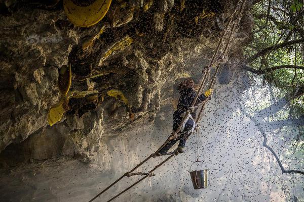 四川省都江堰市官方报告显示，一名2岁男童在接受静脉输液后死亡。截图0