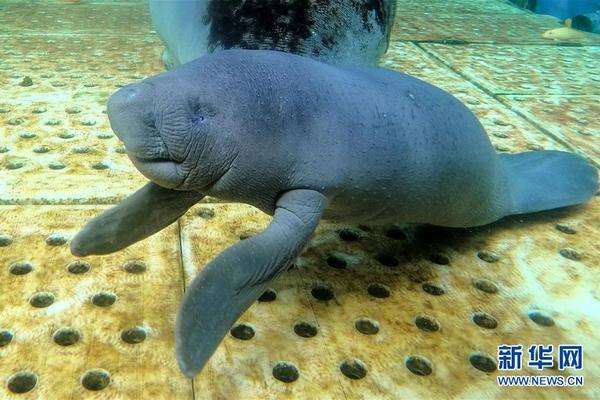 市场采购贸易使得预包装食品能够将其香气传播到海外。截图1