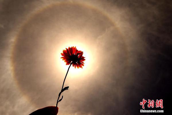 为加快智慧农业发展，四个部门发布了《2025年数字农村发展重点任务》。截图3