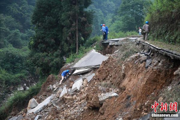 咸鱼锦鲤的败家日常