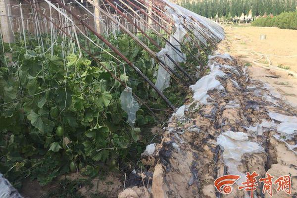 女扮男装干男团，老板队友全沦陷