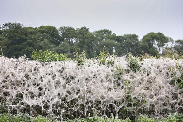 学习贯彻落实中共二十届四中全会精神中央讲座组在澳门进行讲座。截图0