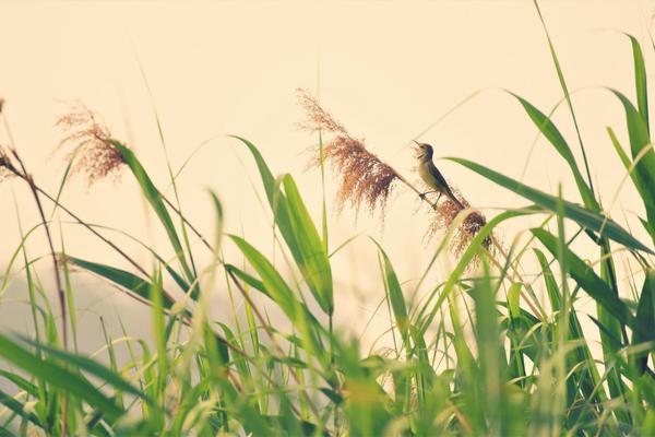 天津诚邀您体验沉浸式戏剧之旅。截图0