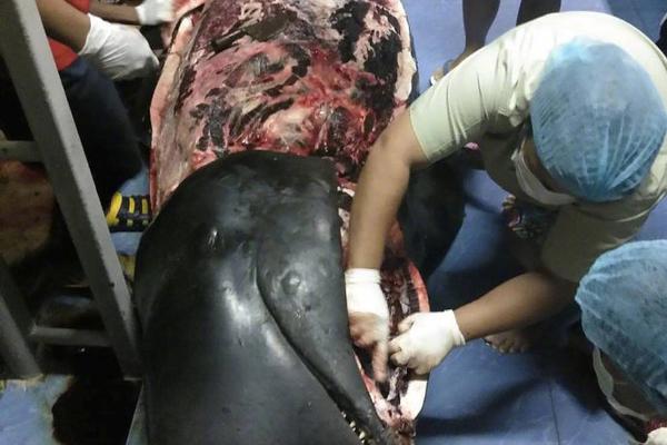 在组织有序的情况下，带着紧迫感进入最后的冲刺阶段——香港特别行政区政府全国运动会统筹办公室主任杨德强访谈。截图3