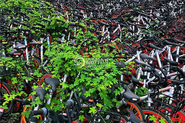 扩大货币政策逆周期调整空间截图0