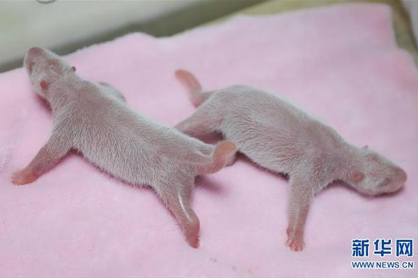 镀金银罐：连接三大文明的“使者”截图1