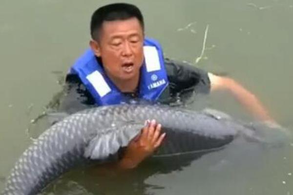 四川宜宾市珙县发生4.5级地震截图2