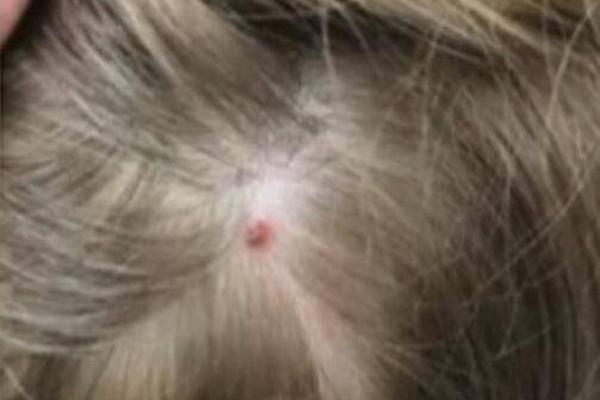 种田后我成了星际首富