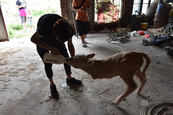 香港故事 _ 暖心软餐点点亮香港老人的晚年生活截图3