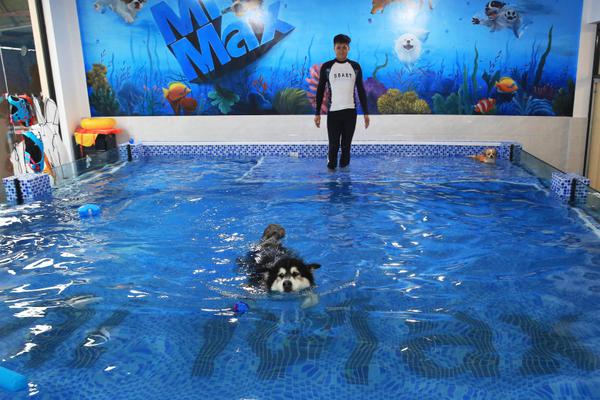 建筑工程多层分包导致了工资拖欠。农民工应该向谁追讨工资？截图3