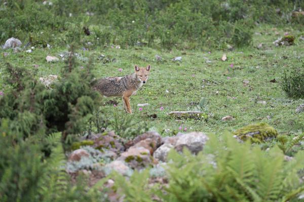穿越八年才出道