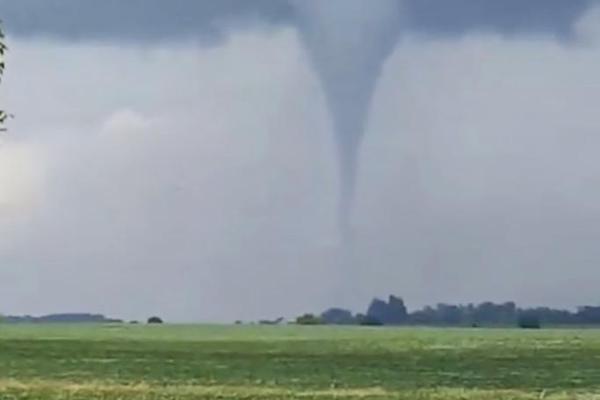 闻泰科技：公司将在近期参加nexperia的第二次听证会。截图2