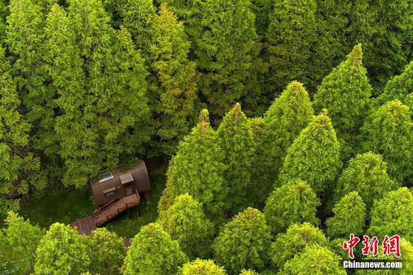 香港故事 | 追逐梦想，成就辉煌——内地教练在香港追逐梦想截图3