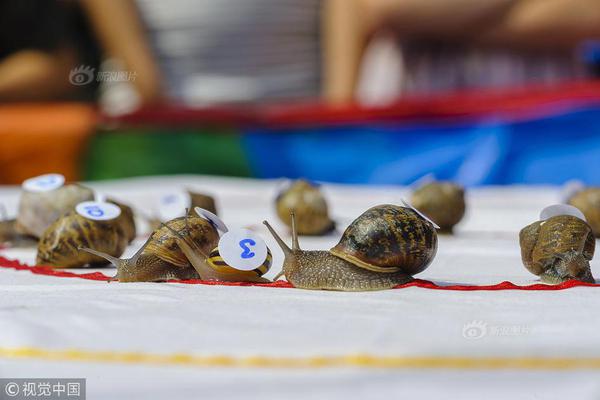 为加快智慧农业发展，四个部门发布了《2025年数字农村发展工作重点》。截图3