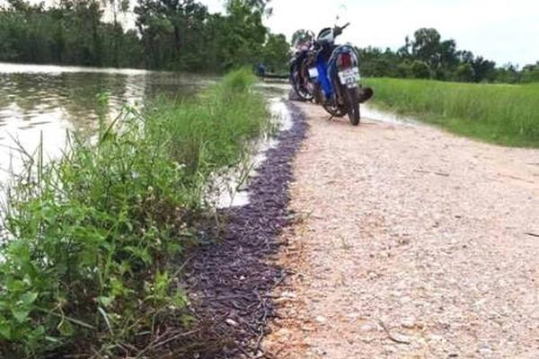 宁夏品牌在澳门“中国葡萄酒大赛”中荣获冠军截图3