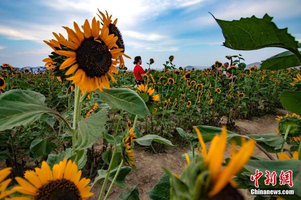 安徽广德“三件套”出圈 带动跨省消费热截图3