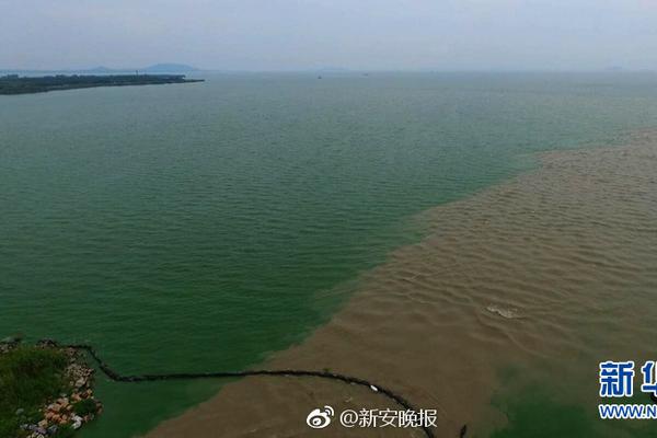 顺应新趋势，释放农村消费潜力截图2