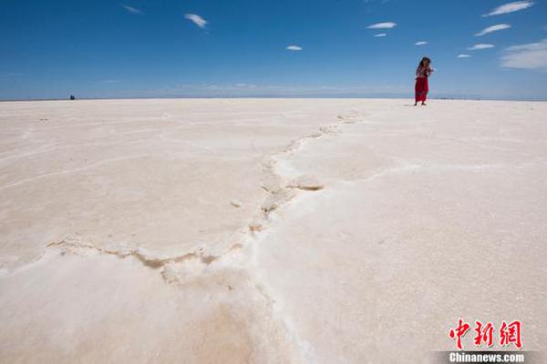 2025年全国退休科技工作者节将展现“金色精神”。截图2