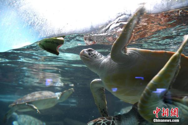 “五色”秋天各具特色 吉林市邀客打卡别样双节截图1