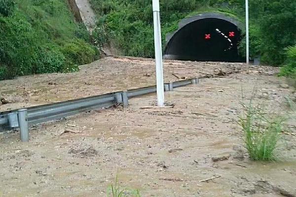 多元化的收益推动了村民收入的增长截图3