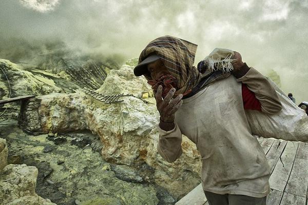 为什么小龙虾这么便宜？截图2